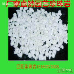 珍珠岩厂直销园艺基质栽培 育苗专用3 5毫米大颗粒膨胀珍珠岩 大图