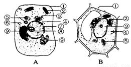下图是细胞的亚显微结构图.请据图回答下列问题 1 图a属于 细胞.其主要依据是 . 2 图a中③的功能是对来自 的蛋白质进行 . 和 . 3 图a中⑥所指的是